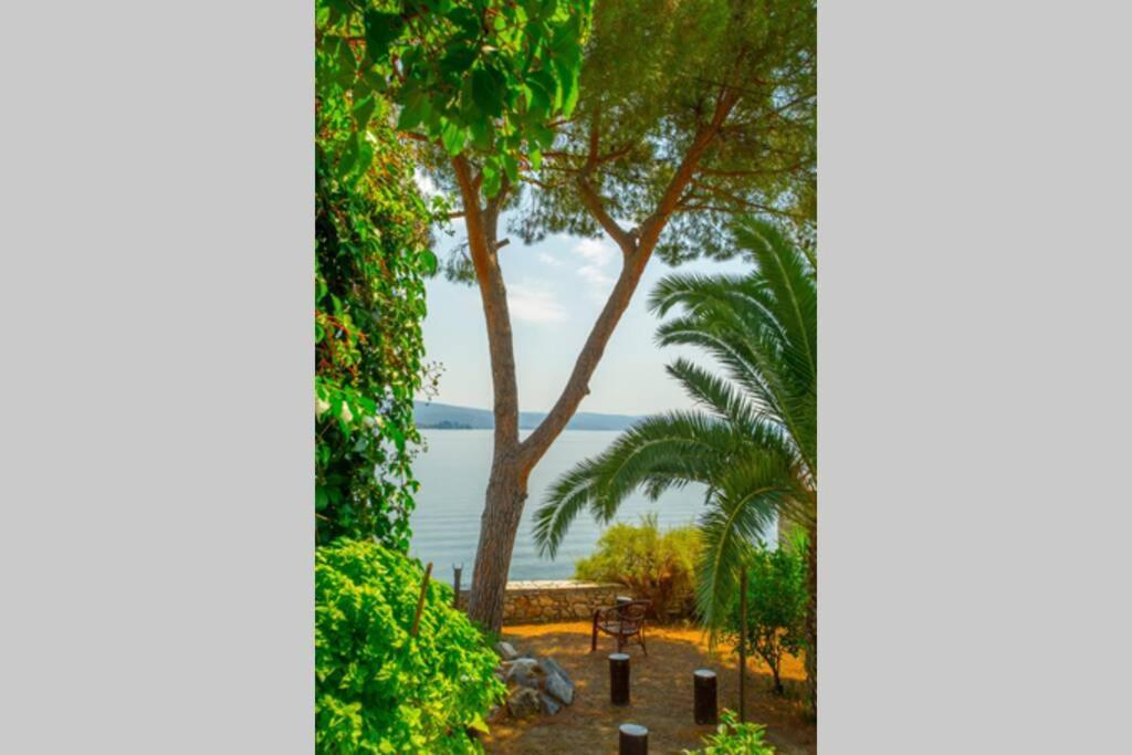 Natali'S Villa By The Sea Kato Gatzea Ngoại thất bức ảnh